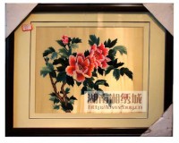 牡丹12