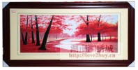  EXQUISITE RED MAPLE