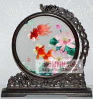 荷花金鱼